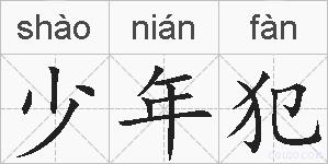 少年犯的拼音