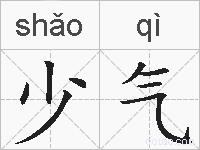 少气的拼音