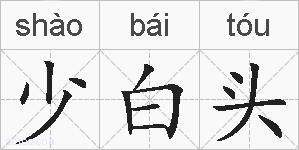 少白头的拼音