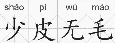 少皮无毛的拼音