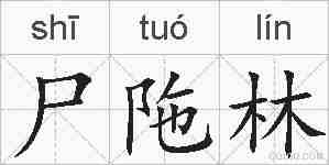 尸陁林的拼音