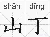 山丁的拼音