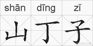 山丁子的拼音
