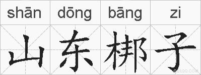 山东梆子的拼音