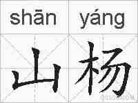 山杨的拼音