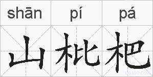 山枇杷的拼音