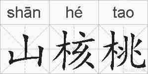 山核桃的拼音