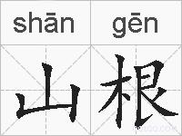 山根的拼音