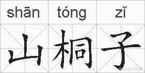 山桐子的拼音