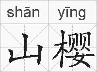 山樱的拼音