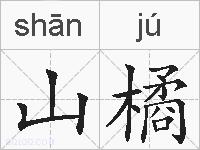 山橘的拼音