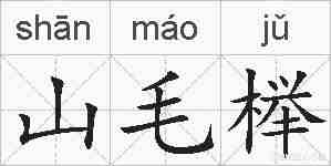 山毛榉的拼音