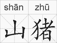山猪的拼音