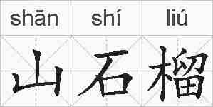 山石榴的拼音