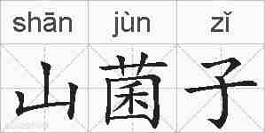山菌子的拼音