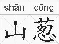 山葱的拼音