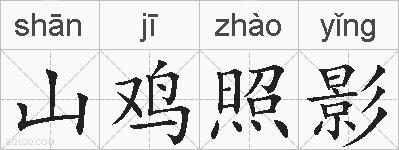 山鸡照影的拼音