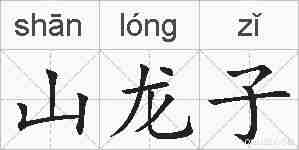 山龙子的拼音