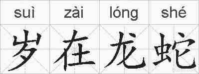 岁在龙蛇的拼音
