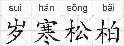 岁寒松柏的拼音