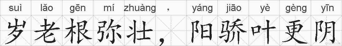 岁老根弥壮，阳骄叶更阴的拼音