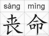 丧命的拼音