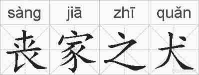 丧家之犬的拼音