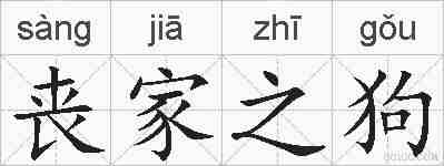 丧家之狗的拼音