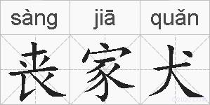 丧家犬的拼音