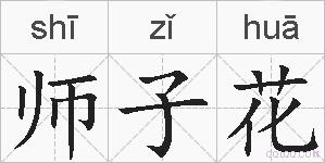 师子花的拼音