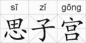 思子宫的拼音