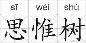 思惟树的拼音