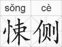 悚侧的拼音