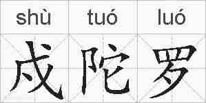 戍陀罗的拼音