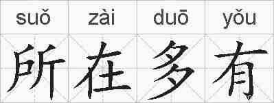 所在多有的拼音