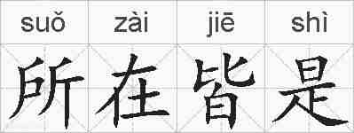 所在皆是的拼音