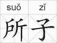 所子的拼音