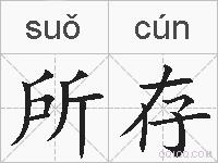 所存的拼音