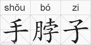 手脖子的拼音