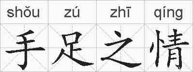 手足之情的拼音