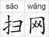 扫网的拼音