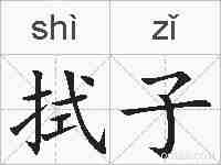 拭子的拼音