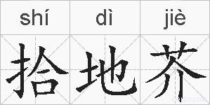 拾地芥的拼音