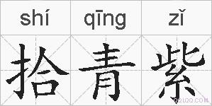 拾青紫的拼音
