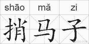 捎马子的拼音