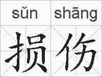损伤的拼音