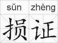 损证的拼音