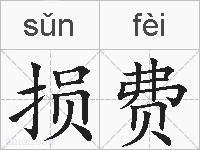 损费的拼音