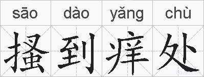 搔到痒处的拼音