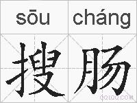搜肠的拼音